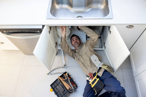 Best Commercial Plumbing Services  in Ann Arbor, MI