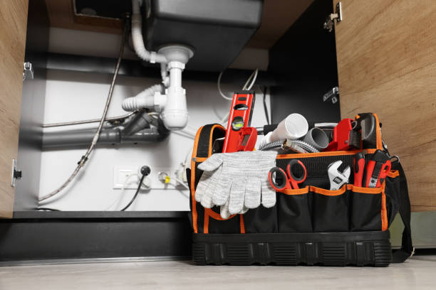 Best Plumbing Services Near Me  in Ann Arbor, MI