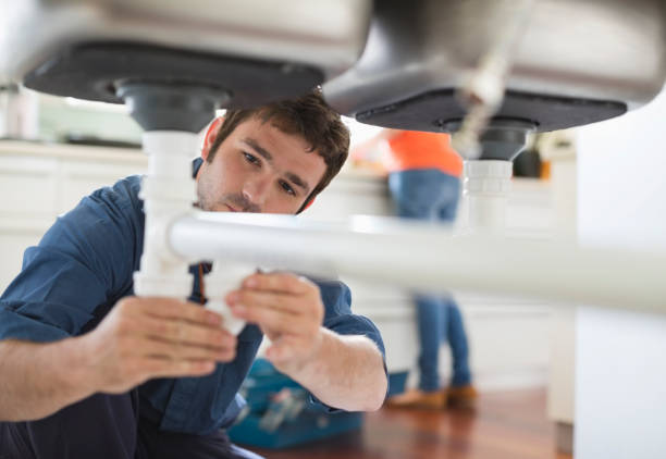 Best Drain Cleaning Services  in Ann Arbor, MI