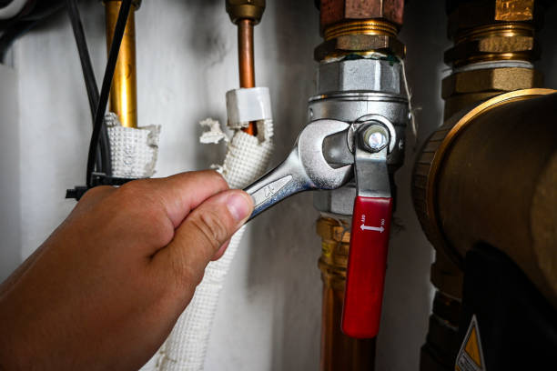 Best Plumbing Repair Near Me  in Ann Arbor, MI
